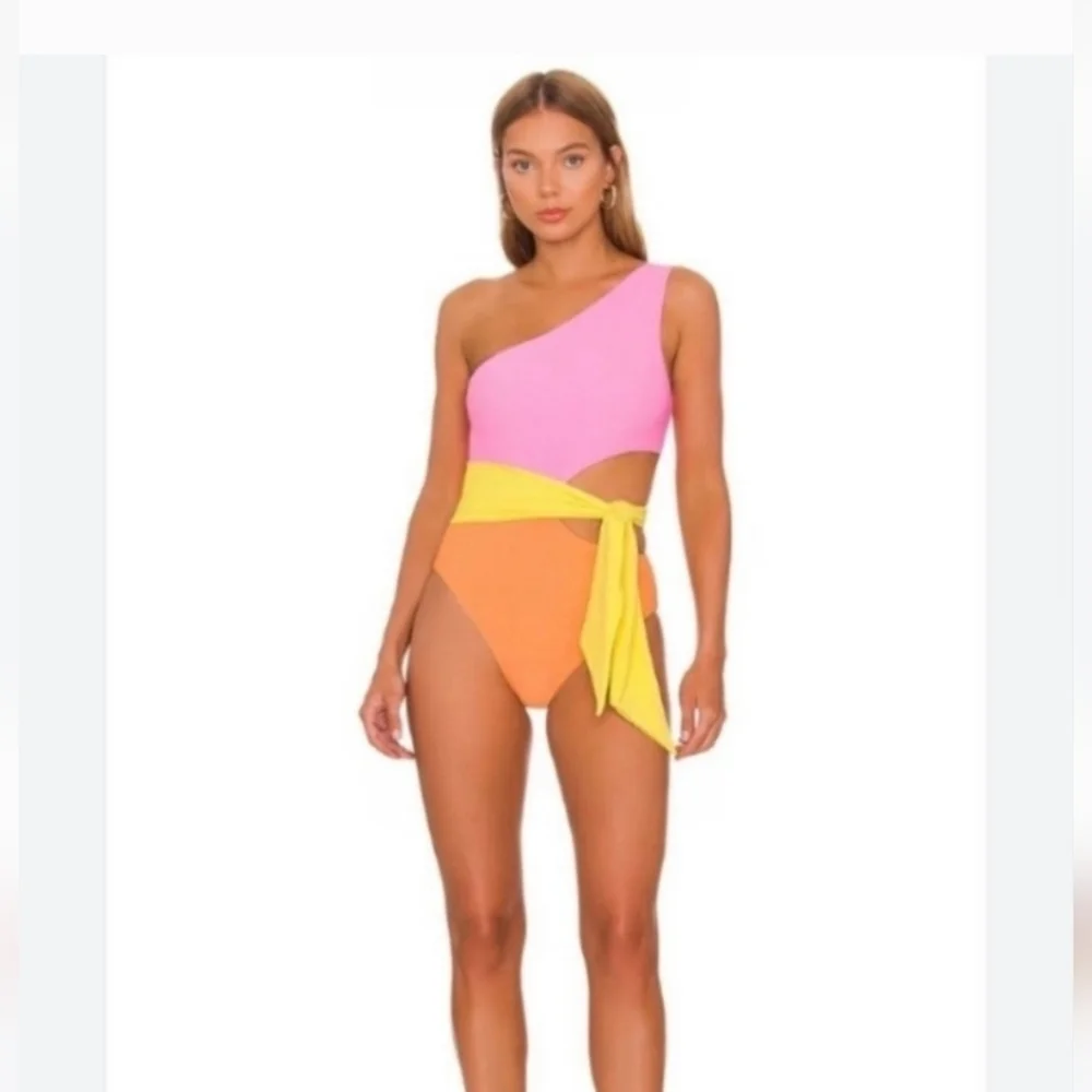 New!Beach Riot Carlie Fruity Colorblock One Piece Swimsuit - Picture 2 of 13